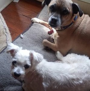 Meet your Posher, Delores